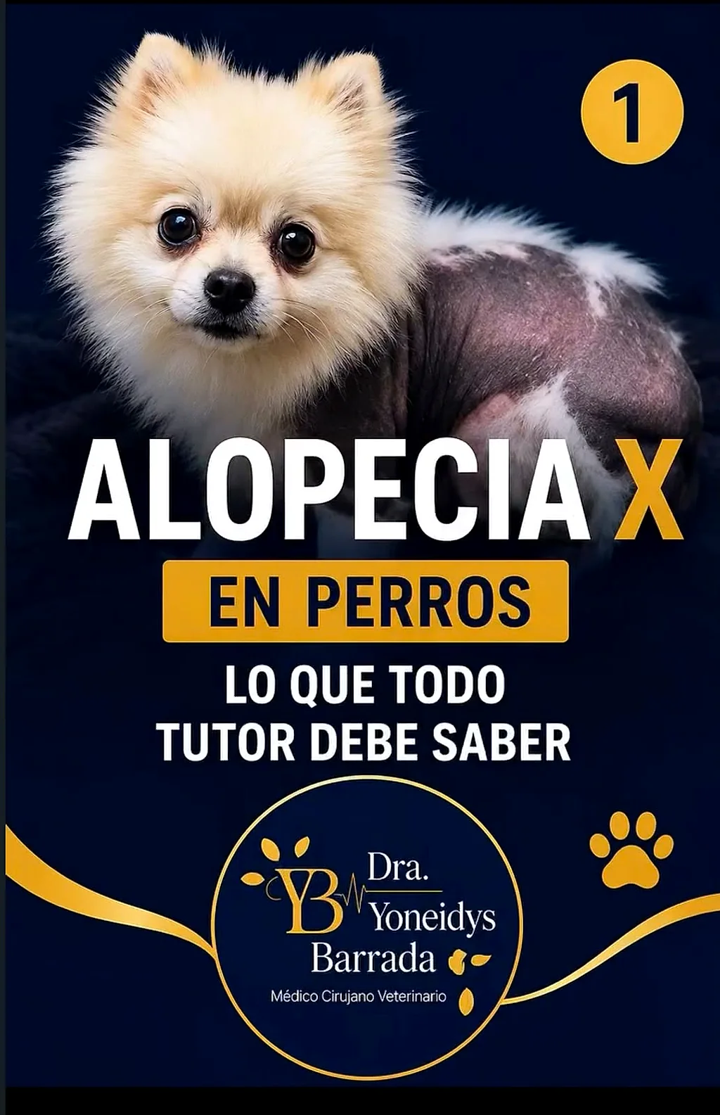 Alopecia X en perros: lo que todo tutor debe saber