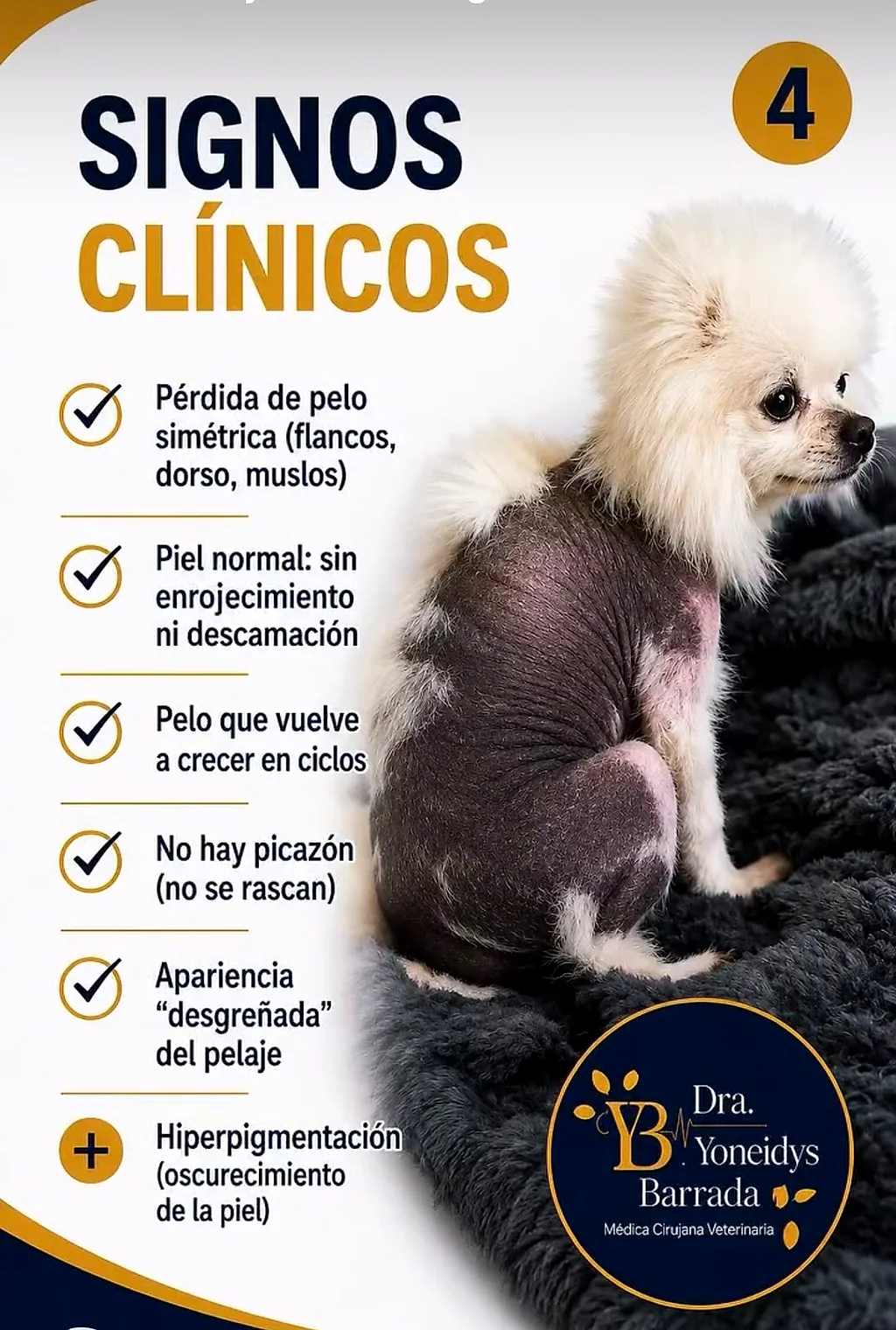 Signos clínicos de la alopecia X