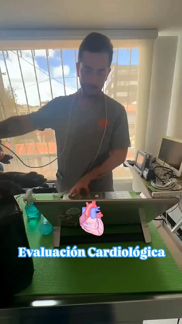 Evaluación cardiológica de un perro