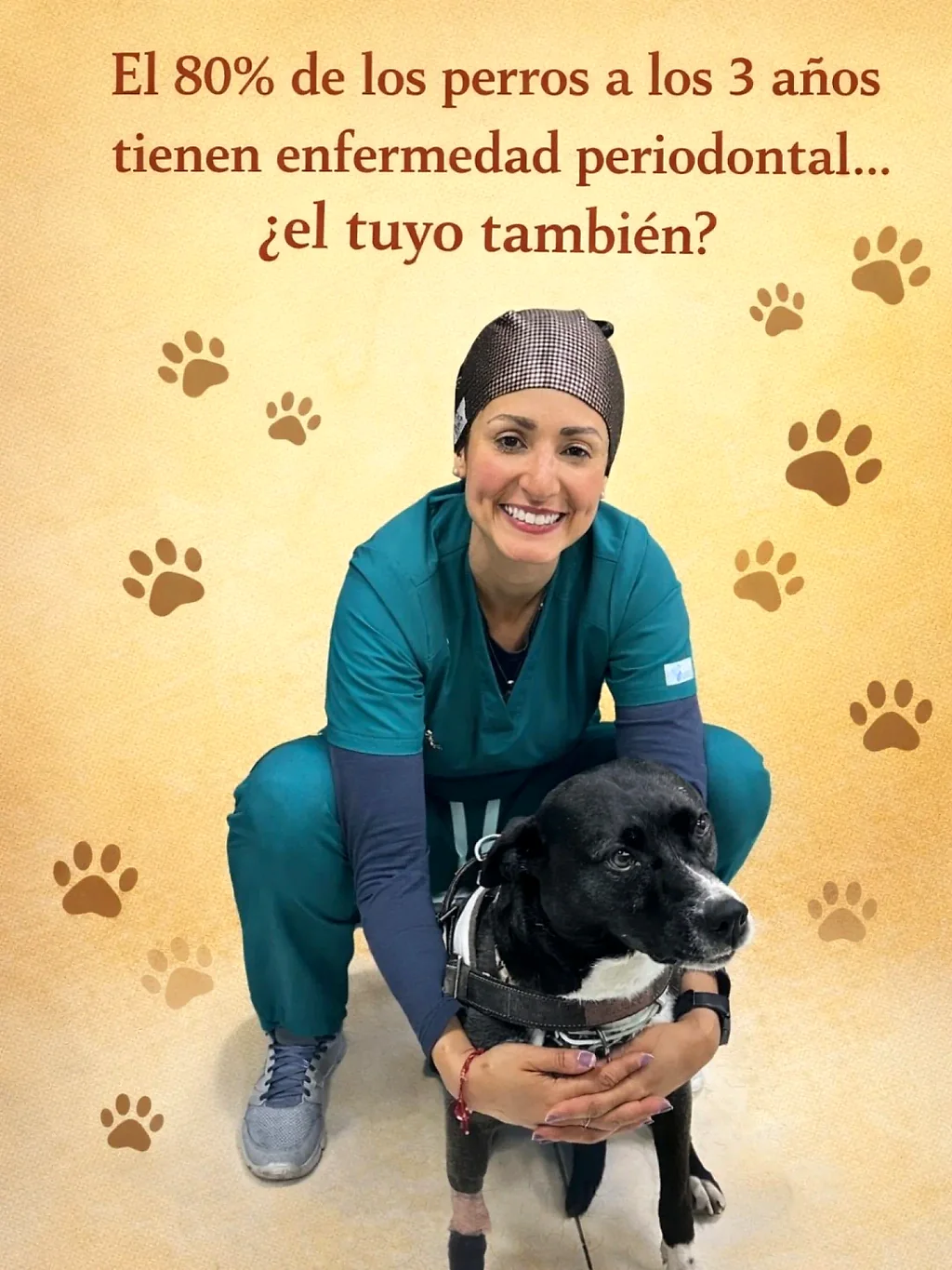 La Dra. Yoneidys Barrada con un perro negro: el 80% de los perros mayores de 3 años tienen enfermedad periodontal