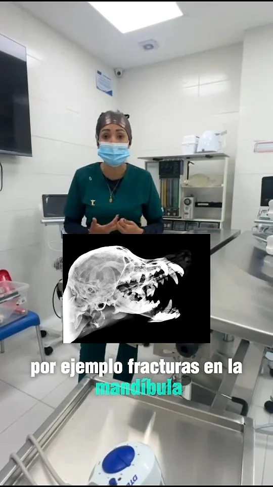 La Dra. Yoneidys Barrada explicando una radiografía de cráneo en el quirófano