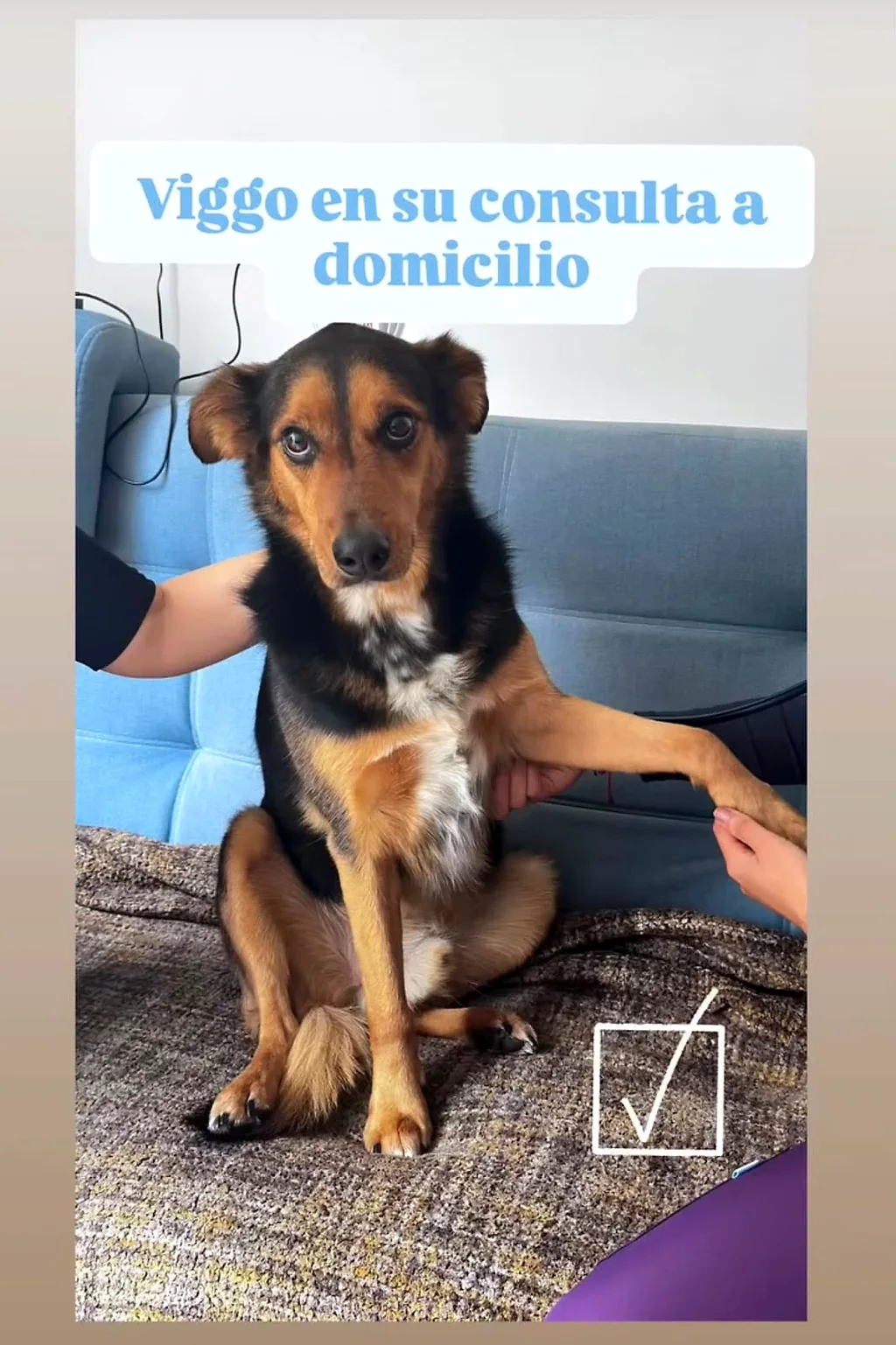Viggo en su consulta a domicilio