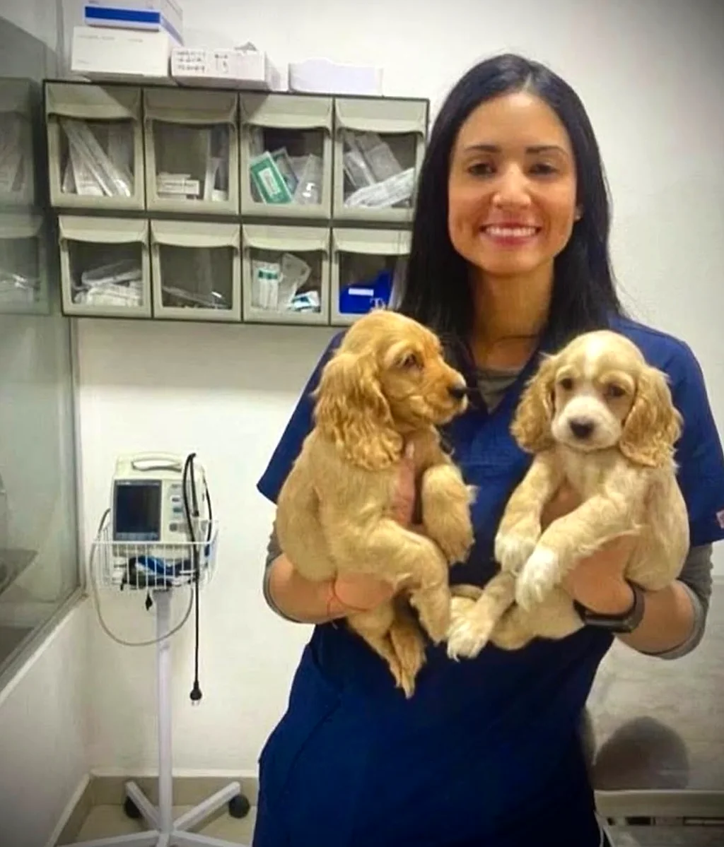 La Dra. Yoneidys Barrada sosteniendo dos cachorros cocker en su consultorio