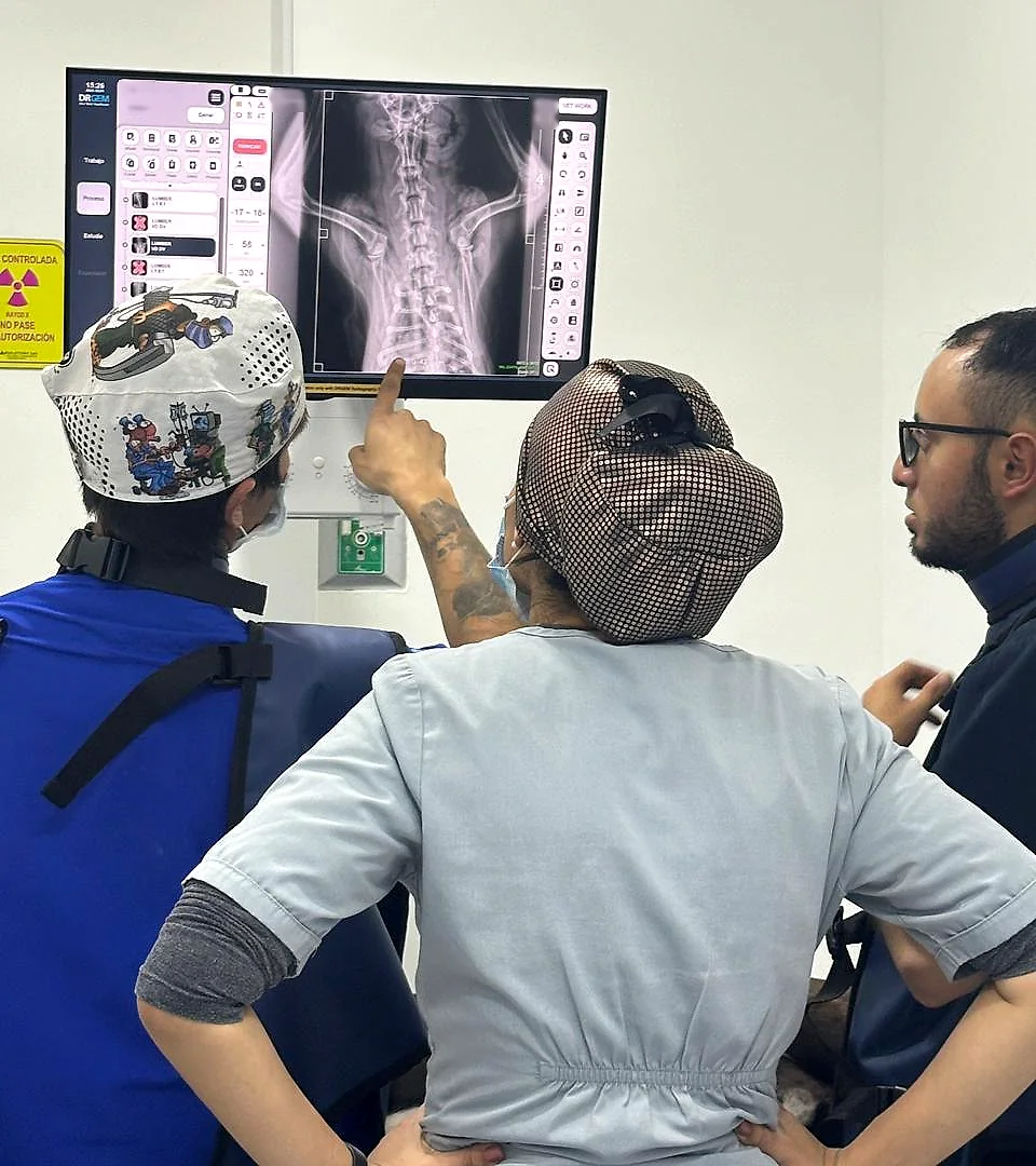 Revisión de una radiografía en la pantalla del equipo de rayos X digital, con delantales plomados